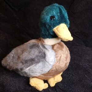 Jake the mallard duck Beanie Buddy